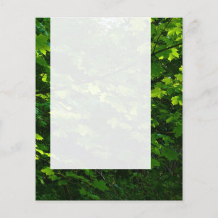 Prospectus 11,4 Cm X 14,2 Cm Panel 039 - Feuilles d'été