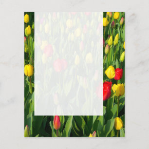 Prospectus 11,4 Cm X 14,2 Cm Panneau 021 - Tulipes