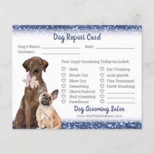 Prospectus 11,4 Cm X 14,2 Cm Parties scintillant bleue Chien Grooming Report Ca