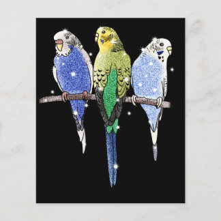 Prospectus 11,4 Cm X 14,2 Cm Parties scintillant Budgie Budgerigar