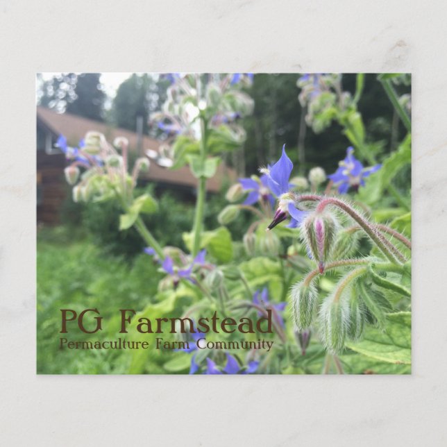Prospectus 11,4 Cm X 14,2 Cm PG Farmstead flyer (Devant)