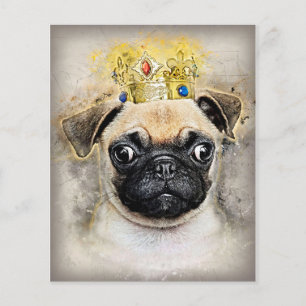 Prospectus 11,4 Cm X 14,2 Cm Roi Des Chiens De Carlin, Chien Drôle, Don Du Carl