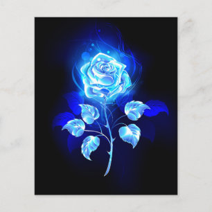 Prospectus 11,4 Cm X 14,2 Cm Rose bleu brûlant