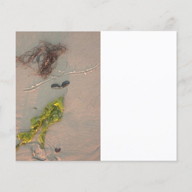 Prospectus 11,4 Cm X 14,2 Cm Sirène dans le sable (Devant)