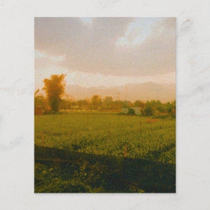 Prospectus 11,4 Cm X 14,2 Cm Vang Vieng - Laos