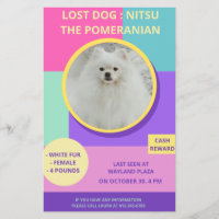 Affiche de photo colorée moderne de chien disparu