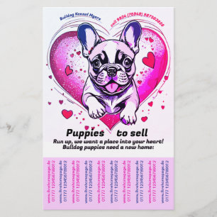 Prospectus 14 Cm X 21,6 Cm Amenez un chiot Bouledogue Français dans votre mai