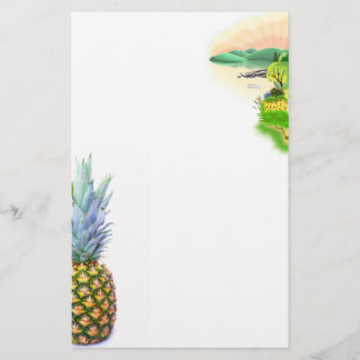 Prospectus 14 Cm X 21,6 Cm Ananas Fruit Plage Dessert Coloré Tropical