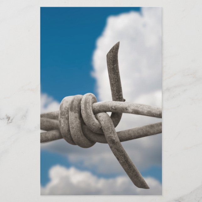 Prospectus 14 Cm X 21,6 Cm Fil de fer barbelé (Devant)