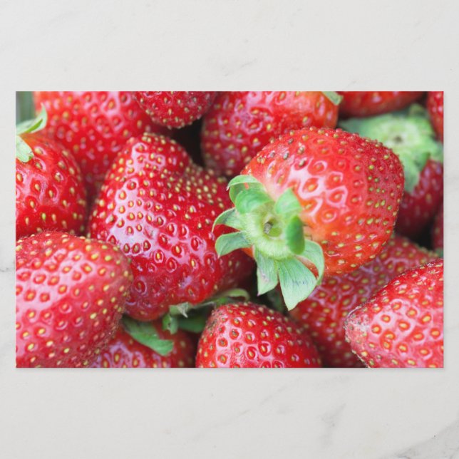 Prospectus 14 Cm X 21,6 Cm Fraise douce (Devant)