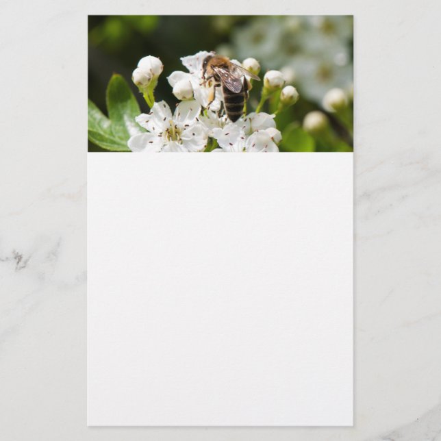 Prospectus 14 Cm X 21,6 Cm L'abeille récolte du pollen (Devant)