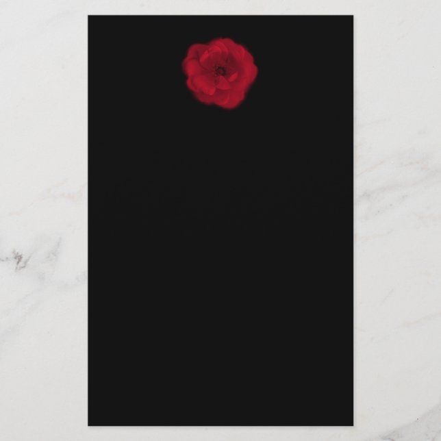 Prospectus 14 Cm X 21,6 Cm rose rouge. Arrière - plan noir. (Devant)