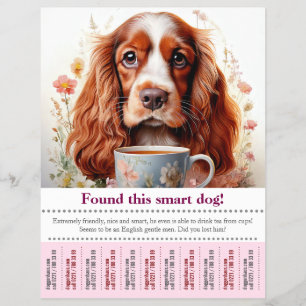 Prospectus 21,6 Cm X 24,94 Cm Affiche à détacher de Cocker Spaniel Anglais perdu