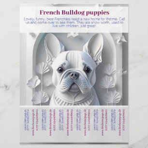 Prospectus 21,6 Cm X 24,94 Cm Affiche chiot Bouledogue Français 