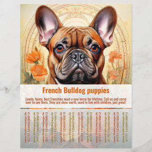 Prospectus 21,6 Cm X 24,94 Cm Affiche chiot Bouledogue Français