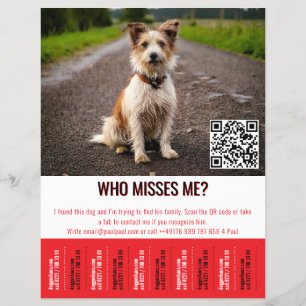 Prospectus 21,6 Cm X 24,94 Cm Affiche de chien trouvé modifiable avec QR Code et