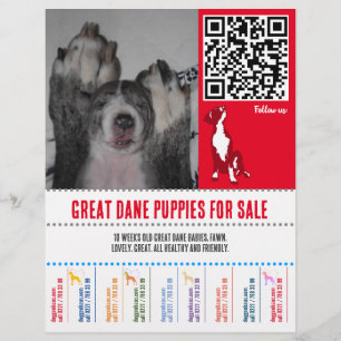 Prospectus 21,6 Cm X 24,94 Cm affiche de chiots Grand Danois ou Chiens