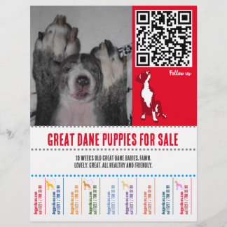 Prospectus 21,6 Cm X 24,94 Cm affiche de chiots Grand Danois ou Chiens