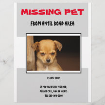 ANIMAL DE COMPAGNIE PERDU 02  FLYER AFFICHE