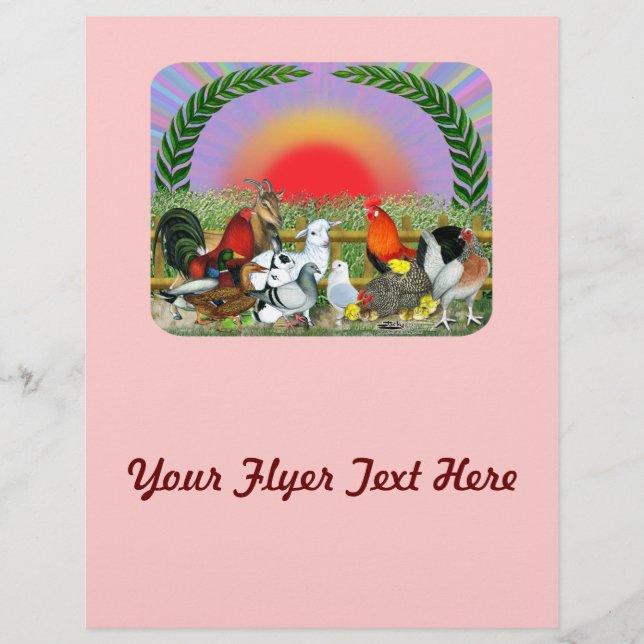 Prospectus 21,6 Cm X 24,94 Cm Animaux de ferme (Devant)