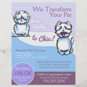 Prospectus 21,6 Cm X 24,94 Cm Annonce de coupon pour toiletteur pour chiens Shab