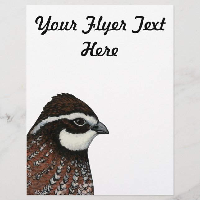 Prospectus 21,6 Cm X 24,94 Cm Bobwhite Quail Head (Devant)