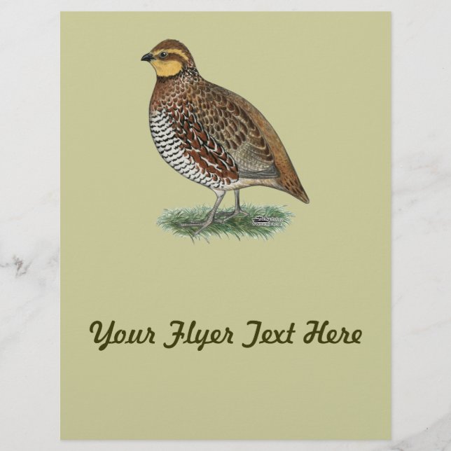 Prospectus 21,6 Cm X 24,94 Cm Bobwhite Quail Hen (Devant)