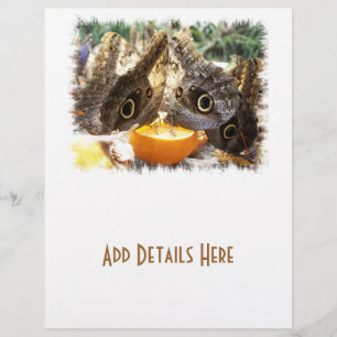 PROSPECTUS 21,6 CM X 24,94 CM BOUTEILLES