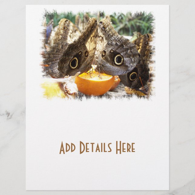 PROSPECTUS 21,6 CM X 24,94 CM BOUTEILLES (Devant)