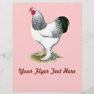 Prospectus 21,6 Cm X 24,94 Cm Brahma : Rooster léger