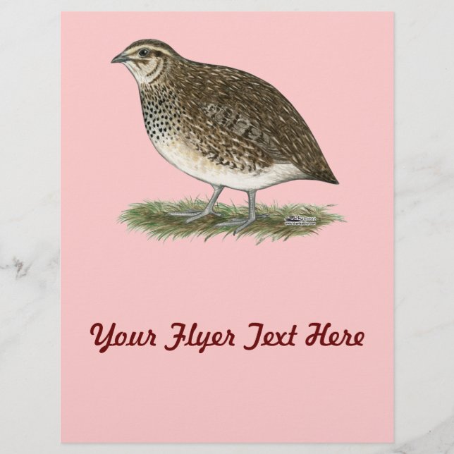 Prospectus 21,6 Cm X 24,94 Cm Caille Coturnix pondeuse (Devant)