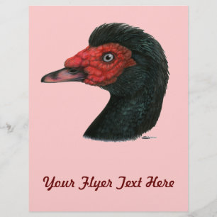 Prospectus 21,6 Cm X 24,94 Cm Canard : Muscovy Head