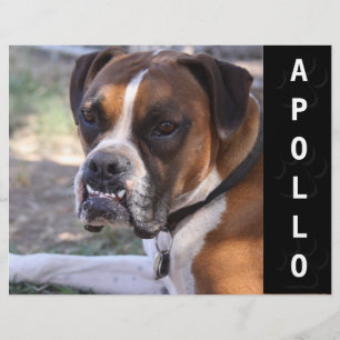 Prospectus 21,6 Cm X 24,94 Cm Capture d'écran de la carte Comp Acteurs Animaux