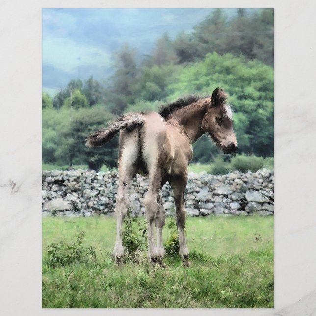 PROSPECTUS 21,6 CM X 24,94 CM CHEVAUX (Devant)