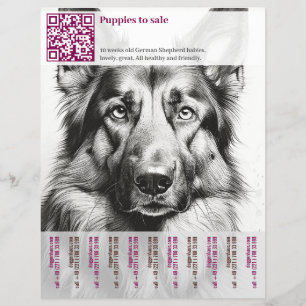 Prospectus 21,6 Cm X 24,94 Cm Chien Berger Allemand Flyer