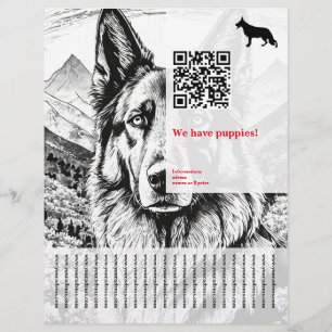 Prospectus 21,6 Cm X 24,94 Cm Chien de berger Flyer