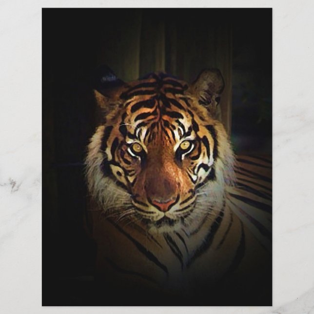 Prospectus 21,6 Cm X 24,94 Cm Circulaire Tiger (Devant)