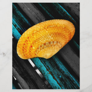 Prospectus 21,6 Cm X 24,94 Cm coquillage