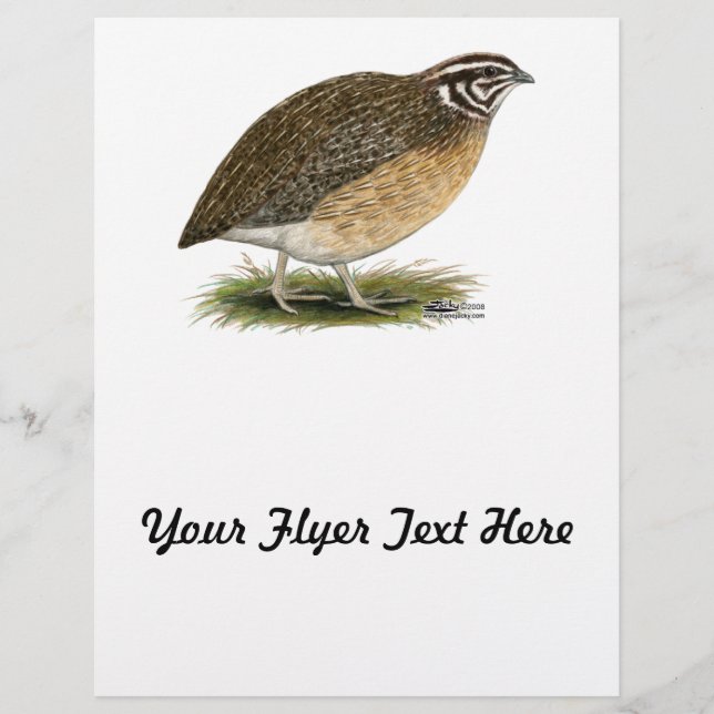 Prospectus 21,6 Cm X 24,94 Cm Coturnix Pharaoh (Devant)