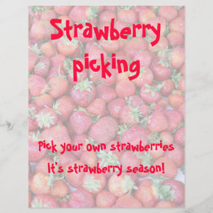 Prospectus 21,6 Cm X 24,94 Cm Cueillette de fraises