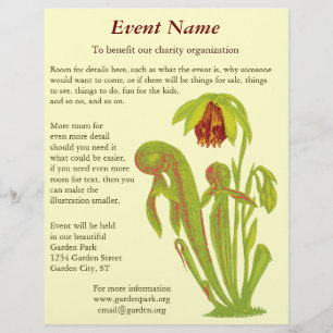 Prospectus 21,6 Cm X 24,94 Cm Darlingtonia californica, Plante carnivore