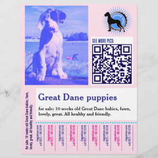 Prospectus 21,6 Cm X 24,94 Cm Dog Trainer Flyer pink