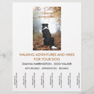 Prospectus 21,6 Cm X 24,94 Cm Dog Walking Walker Adventure Walks et Hikes
