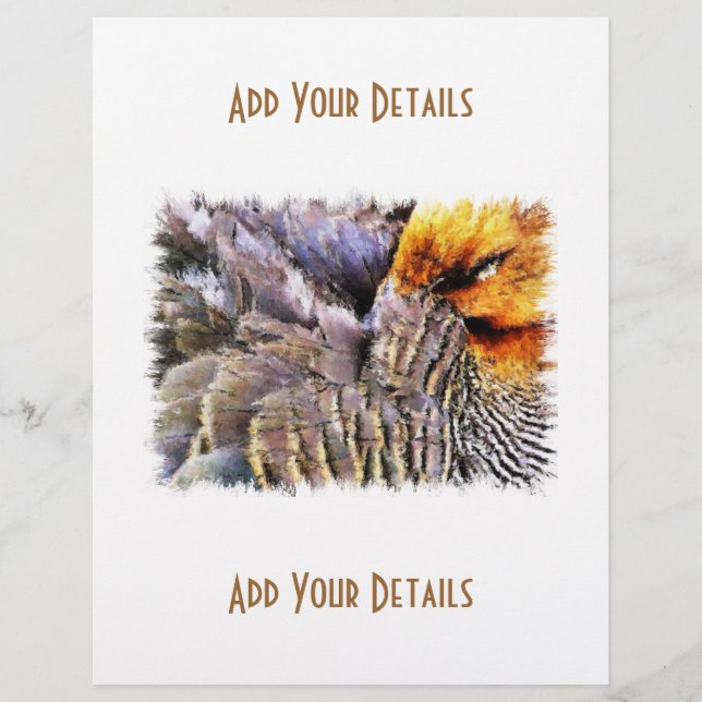 PROSPECTUS 21,6 CM X 24,94 CM DUCKS (Devant)