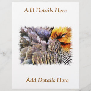 PROSPECTUS 21,6 CM X 24,94 CM DUCKS