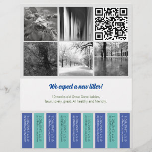 Prospectus 21,6 Cm X 24,94 Cm Engrenage Flyer Chiot vendant bleu vert