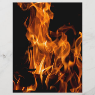 Prospectus 21,6 Cm X 24,94 Cm Feu