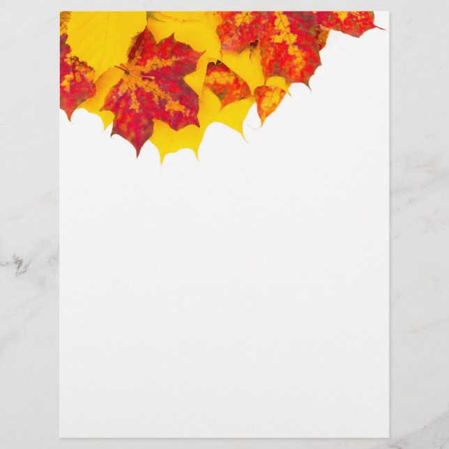 Prospectus 21,6 Cm X 24,94 Cm Feuilles d'automne motif (Devant)