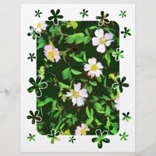 PROSPECTUS 21,6 CM X 24,94 CM FLEUR SAUVAGE