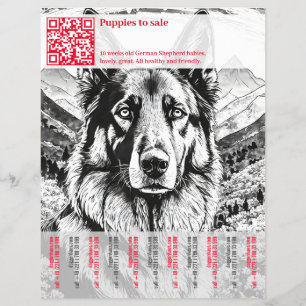 Prospectus 21,6 Cm X 24,94 Cm Flyer allemand Shepherd Chien